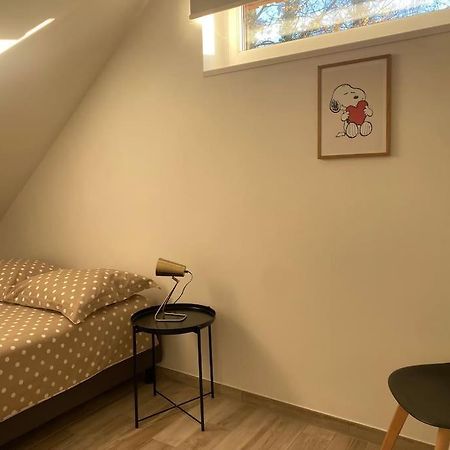 Appartement Dans Une Grange Renovee Страсбург Экстерьер фото